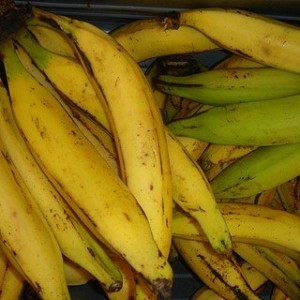 plantain